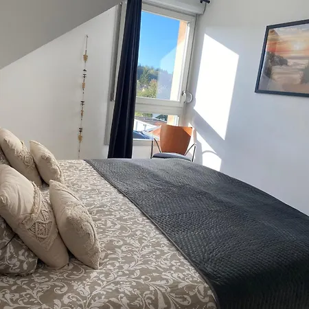 Les Terrasses Des Myosotis アパート ブロッツアイム